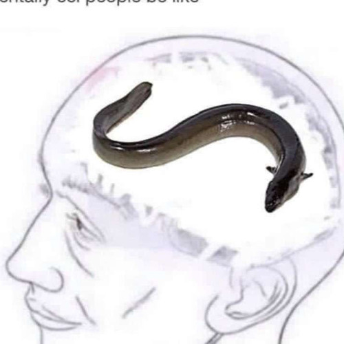 ⚠【Frimomen】 BUTCHER VANITY【SynthV Cover】flashing warning!