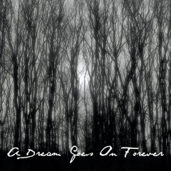 A Dream Goes On Forever