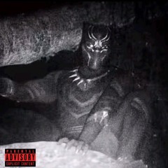 timczi x byrku - Czarna Pantera