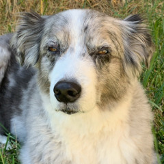 and.so lifts up 023 (Techlift)