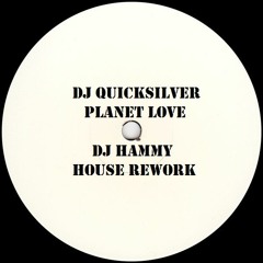 DJ Quicksilver - Planet Love (DJ Hammy House Rework)