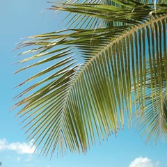 يسهر background mode (FREE DOWNLOAD)