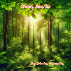 Never Give Up