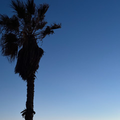 The Manjo Ate My Baby