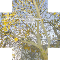 j.ap.r - Stepping Up