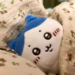 하치와레 girl (발매예정 feat.???)