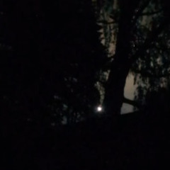 upes ēna