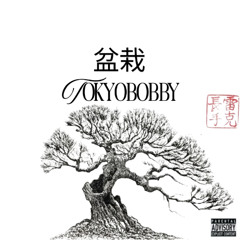 BONSAI Vibe  (prod. Dragos Marcus)