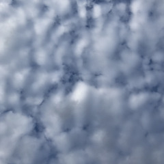 Dancing tears (unfinished)