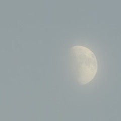 On Mulberry Drive / Will Dockery and Brian Mallard