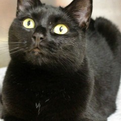 Don't Leave, It's Not Your Time (Demo)