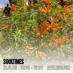 Soultimes - Aaja Channel 1 - 12 07 25