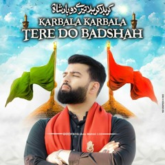 Karbala Tere Do Badshah | Mesum Abbas Naqvi | New Manqabat | Ana Matmi