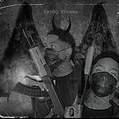 zaybo stunna "Causin Havoc"