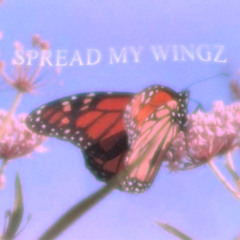 SPREAD MY WINGZ (Full Stream)