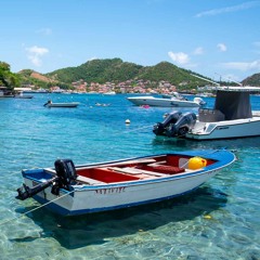 Mr. RiNi's Unmaskd Series #004 - Oldskool House Boat Mix