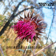 Stardust - Spring Chillgressive Set 2025 ( 105 - 116 Bpm )
