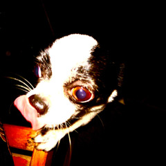 METREUGUIMS - JERSEY - TYPEBEAT -