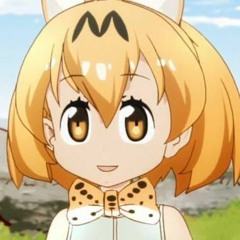 serval cat is my friend