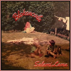 Salami Lama (clean radio edit)