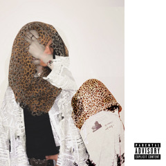 swagster [prod. zaan x advm]