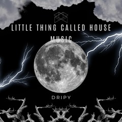 Little Thing Called House Music