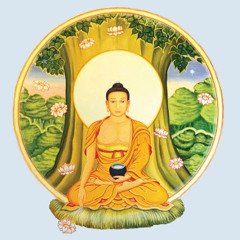 i choose to awaken: the buddha awakening song