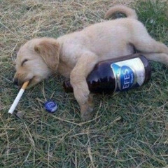 ripxeia - im sorry