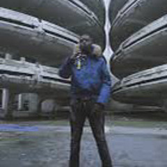 Ninho Grand Paris