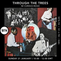 Through The Trees w/ Ty ft. Curious Music - 21.01.24