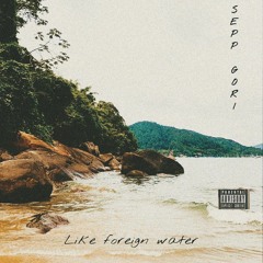 Foreign Waters