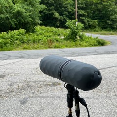 1) 06.30 Papermill Road - MS Shotgun