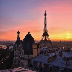 Rooftops In Paris