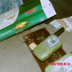 MANGER TOUTES LES MARQUISETTES