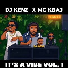 It's a Vibe Vol. 1 | Afrobeats, Amapiano, Afrohouse mix | DJ Kenz & MC Kbaj |