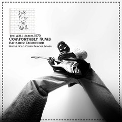 Comfortably Numb (The Wall Album - Pink Floyd)