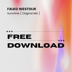 Falko Niestolik - Sunshine ( Freedownload )