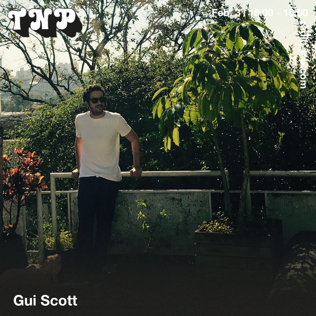 Gui Scott