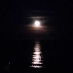 FIRST NEW YEAR  FULL MOON SERENADE