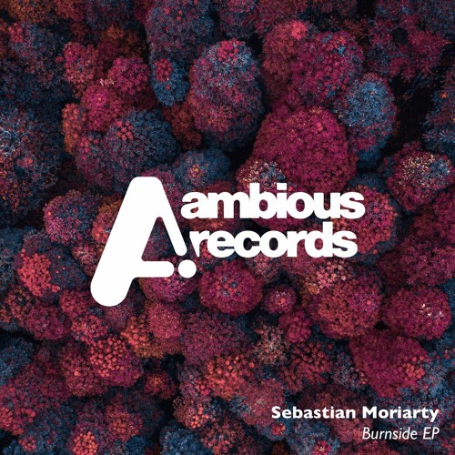PREMIERE: Sebastian Moriarty - Grove (Original Mix) [Ambious Records]