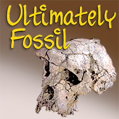 Ultimately Fossil (updating the series)