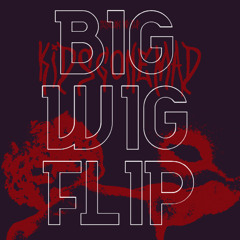 kidsgonemad! - Isoxo (The Big Wig Flip)