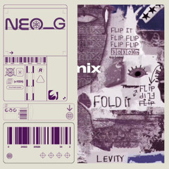 Levity - Flip It (NEO_G REMIX)