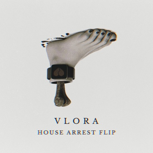 MineSweepa - House Arrest (vlora flip)