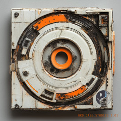 1.1B Poland (Rogue.wav UKG edit)