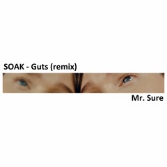 SOAK - Guts (Mr. Sure Remix)