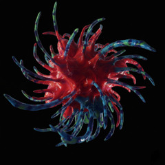 Arte de materializar