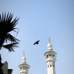 ابداع رعد الكردي - سورة الطلاق