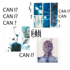can I ?