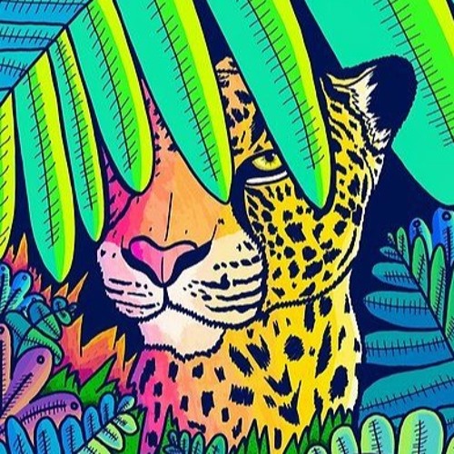 Ecstatic Dance Live @ Kulcha Jam III